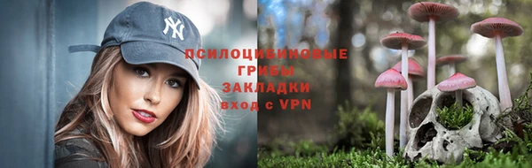 спиды Алексеевка