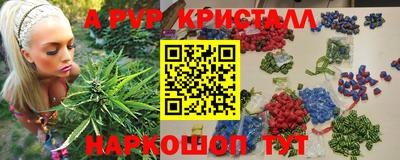 стафф Новокубанск