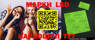 МДПВ Новозыбков