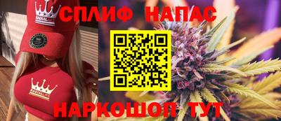 МДПВ Новозыбков