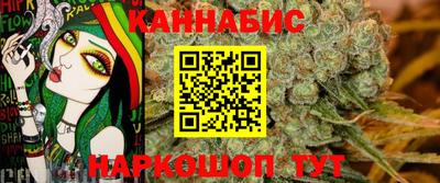 МДПВ Новозыбков