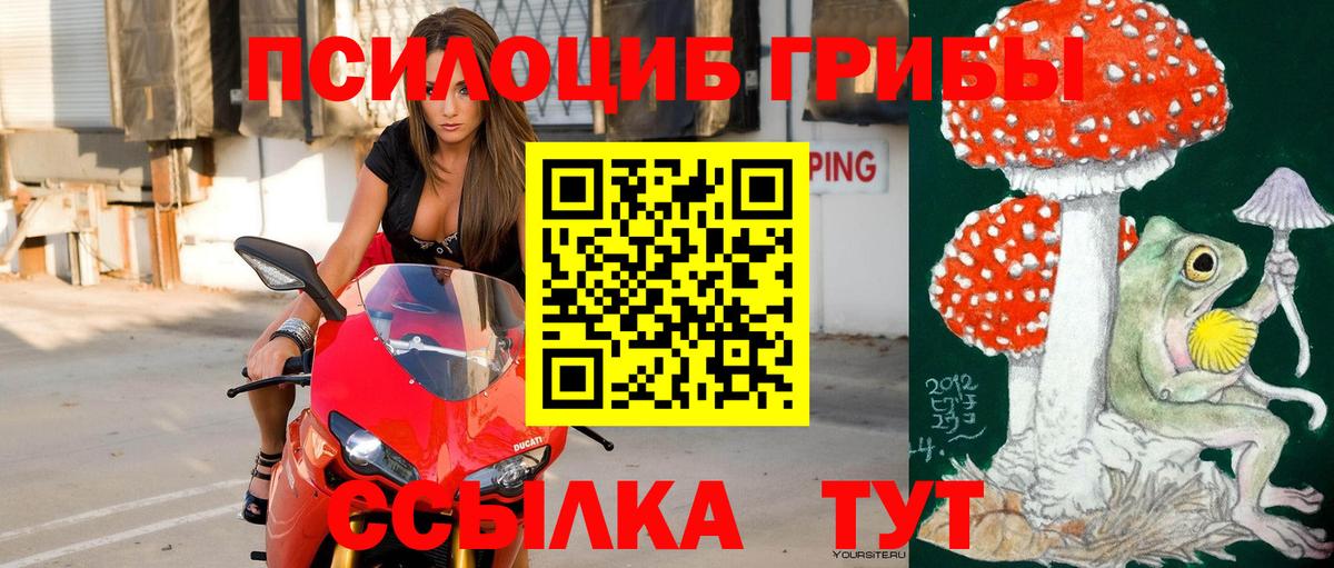 Псилоцибиновые грибы GOLDEN TEACHER  Галлюциногенные грибы Magic Shrooms  купить наркотик  Шатура  Вход с VPN 